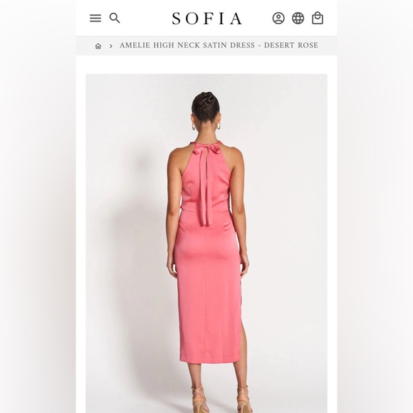 NWT Sofia “Amelie” Satin Dress in “Desert Rose” - Picture 5 of 6